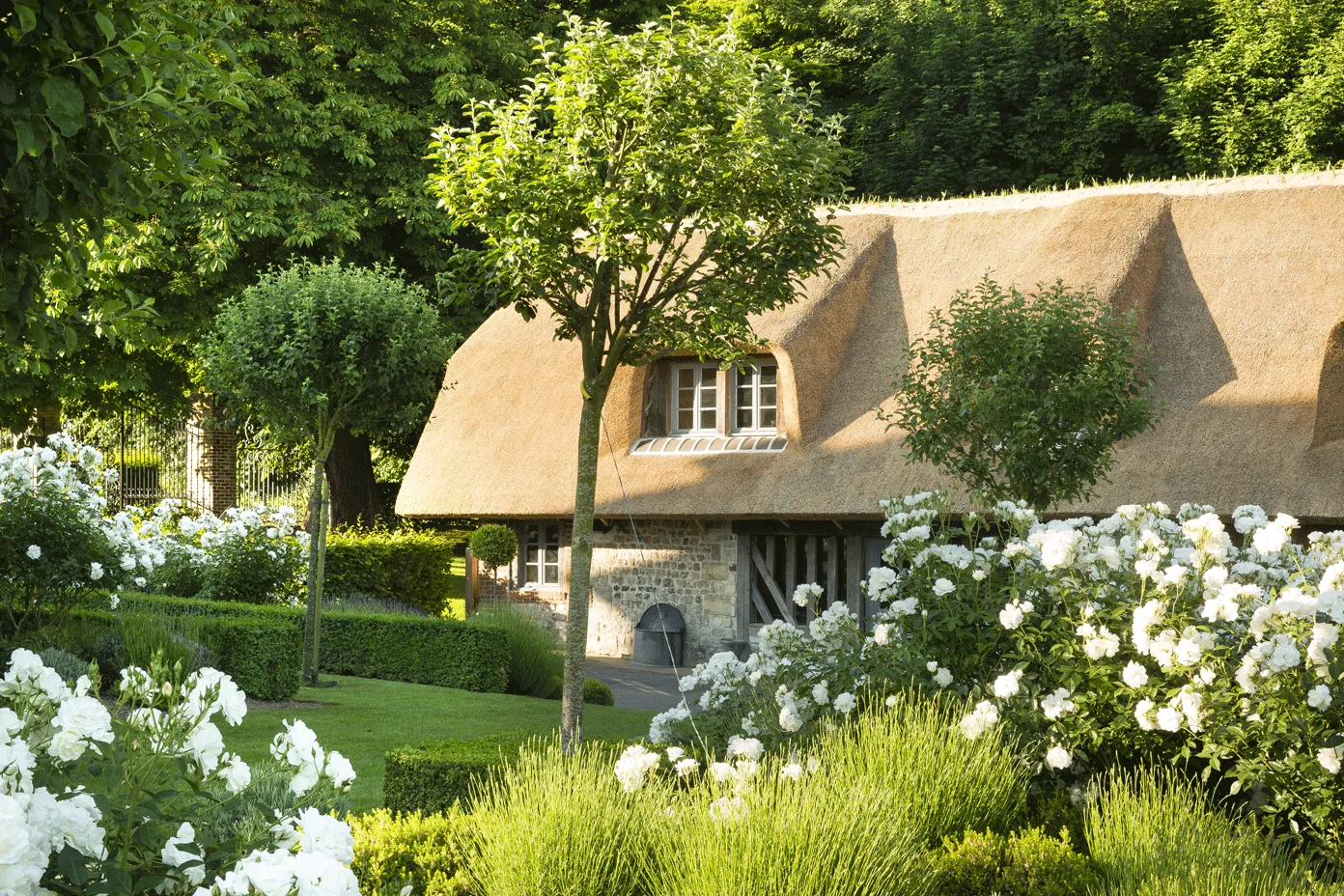 vue de la Boucane, bistro à la Ferme Saint Siméon entouré de fleurs blanches